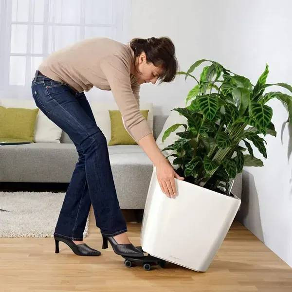 Фото - Вазон Lechuza Quadro Premium LS 50 Антрацит 16283