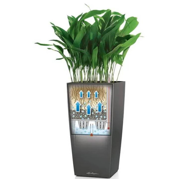 Фото - Вазон Lechuza 30/56 Кубіко АІС Антрацит 18184