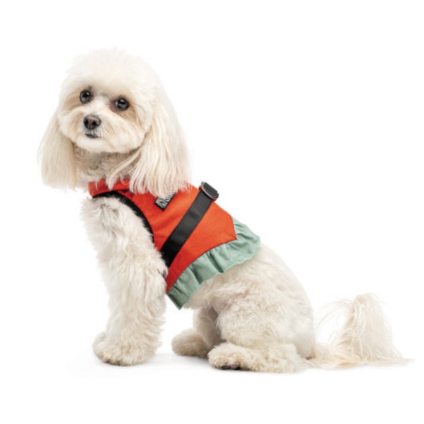 Фото - Шлея для собак Pet Fashion Monika XS2 (4823082441693)