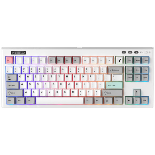 Фото - Клавиатура беспроводная игровая 1stPlayer NEO87 Wireless Frostwave (NEO87-FW-TLD)