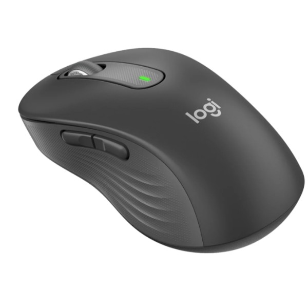 Фото - Мышь беспроводная Logitech Signature M650 L Wireless Mouse Graphite (910-006236)