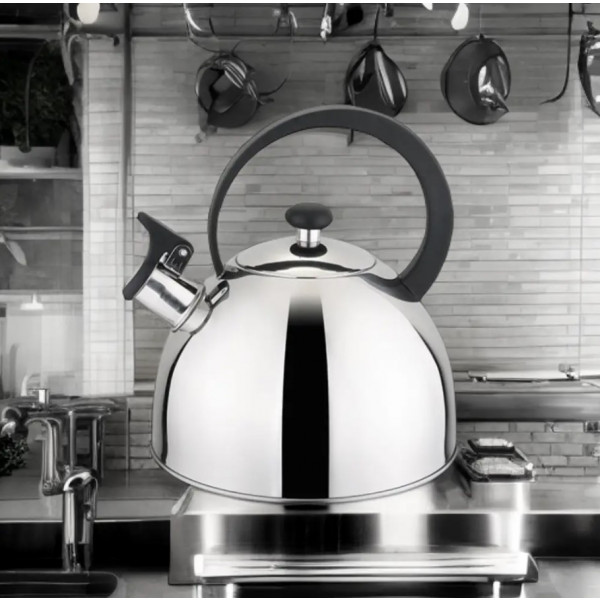 Фото - Чайник металевий Gusto GT-1402-25 2.5 л
