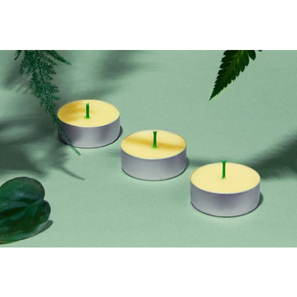 Фото - Свічка чайна Bolsius з ароматом Citronella, 18шт (948332)