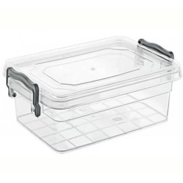 Фото - Ємність для зберігання VIOLET HOUSE 0463 Family Box Transparent 2 л