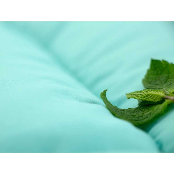 Фото - Набір ковдра євро + 2 подушки Руно 200х220 + 50х70 (925.52_Mint)