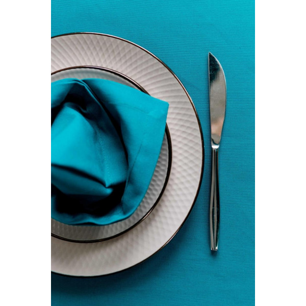 Фото - Серветка для сервірування Прованс Бiрюза 35х45 см (014891)