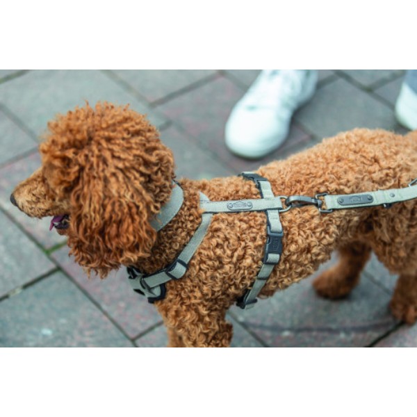 Фото - Шлея для собак Trixie CityStyle H-harness M–L 52–75 см 20 мм світло-сіра (4053032682658)