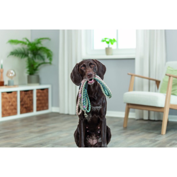 Фото - Повідець для собак Trixie Cavo L–XL 1 м 18 мм Рожево-пісочний (4053032677722)