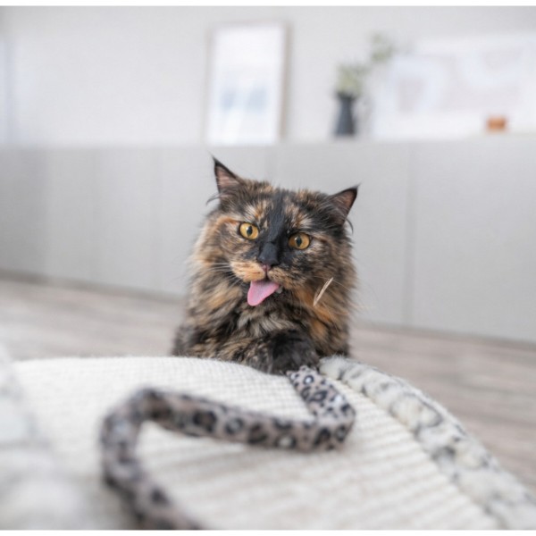 Фото - Паличка з іграшкою Trixie Вудочка з плюшевою котяча м'ята 51 см (4011905829388)