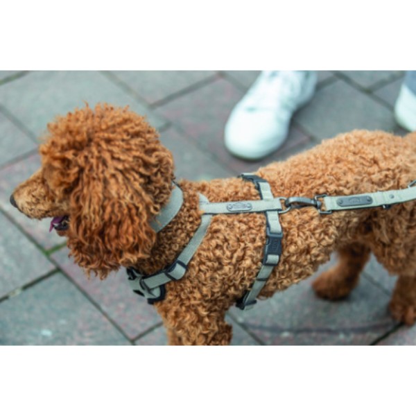 Фото - Нашийник для собак Trixie CityStyle екстраширокий L–XL 50–57 см 35 мм світло-сірий (4053032681958)
