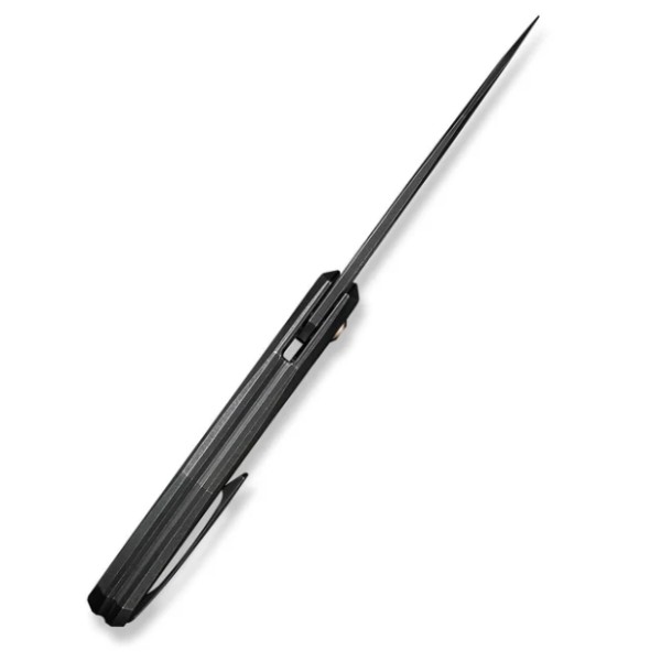 Фото - Нож туристический Weknife Ignio Mystery Box CPM 20CV (WE22042B-1 MB)