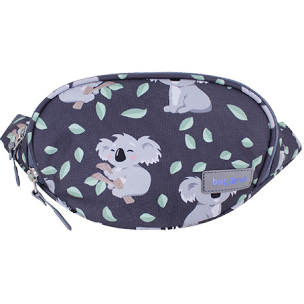 Фото - Поясная сумка Bagland Bella 2 л сублимация 990