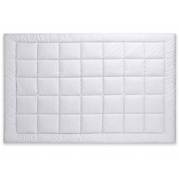 Фото - Одеяло зимнее двуспальное Руно 172х205 силиконовая Elegante Plus (316.52_Elegante Plus)