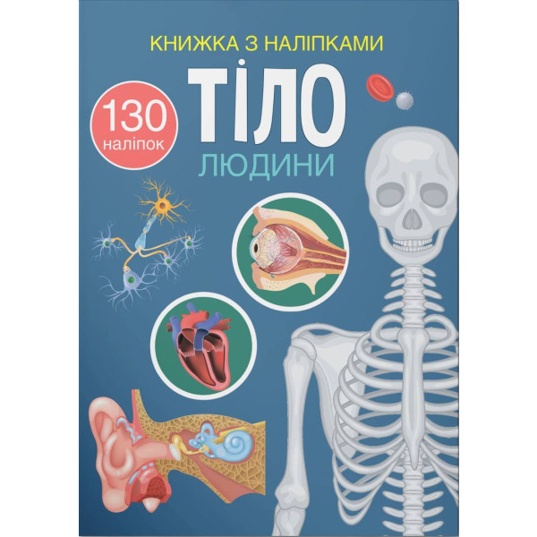 Фото -  Crystal Book Книжка з наліпками. Тіло людини (9786175470466)