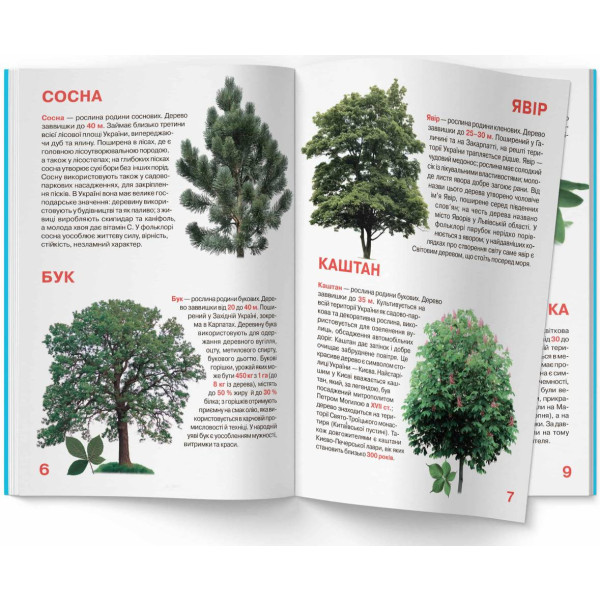 Фото -  Crystal Book Большая книга. Растительный мир Украины (9786177352128)