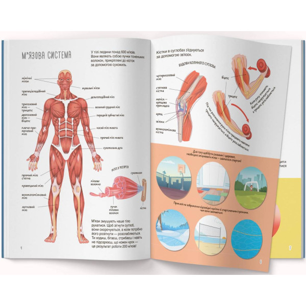 Фото -  Crystal Book Книжка з наліпками. Тіло людини (9786175470466)