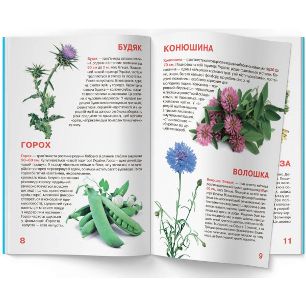 Фото -  Crystal Book Большая книга. Растительный мир Украины (9786177352128)