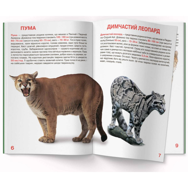 Фото -  Crystal Book Велика книжка. Дикі кішки (9786177268177)