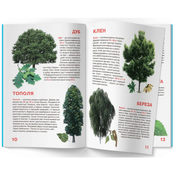 Фото -  Crystal Book Большая книга. Растительный мир Украины (9786177352128)