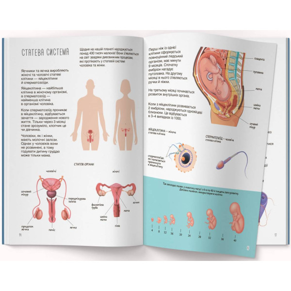 Фото -  Crystal Book Книжка з наліпками. Тіло людини (9786175470466)