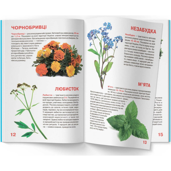 Фото -  Crystal Book Большая книга. Растительный мир Украины (9786177352128)