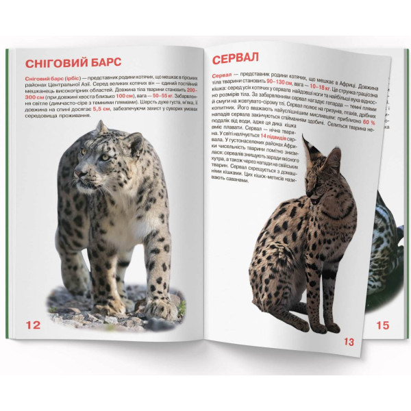 Фото -  Crystal Book Велика книжка. Дикі кішки (9786177268177)