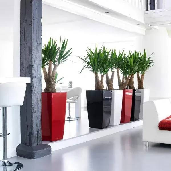 Фото - Вазон Lechuza 40/75 Кубіко Антрацит (18194)