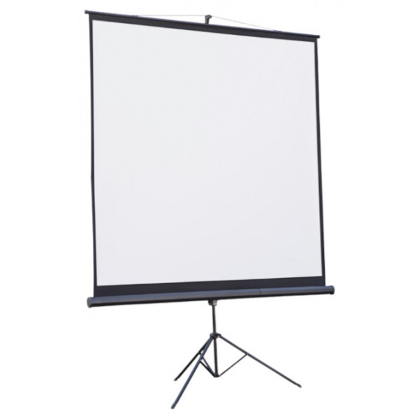 Фото - Екран ATRIA TRM-NTSC-60D