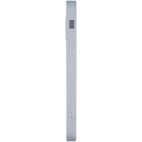 Фото - Чехол для смартфона Gelius Full Frosted MagSafe Case for iPhone 12 Pro Sierra Blue (94494)