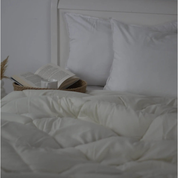 Фото - Одеяло зимнее двуспальное ТЕП ALASKA 200х220 см Молочный не комбинированный (1-00154_33776)