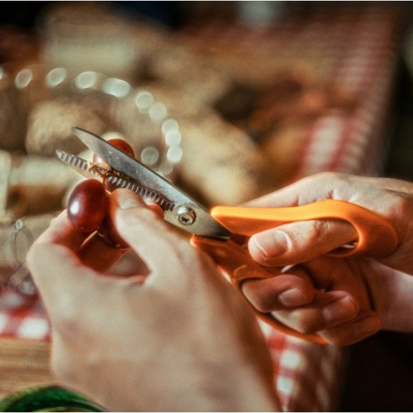 Фото - Ножиці кухонні Fiskars Classic 18 см (1075051)