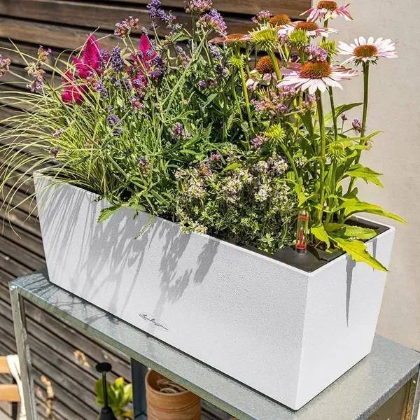 Фото - Вазон Lechuza BALCONERA Stone 50 кварцовий білий 15657