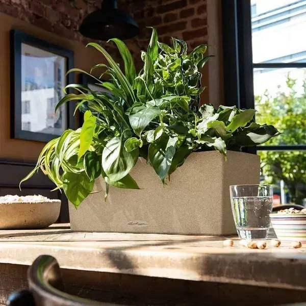 Фото - Вазон Lechuza BALCONERA Stone 50 кварцовий білий 15657