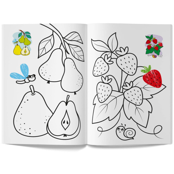 Фото - Раскраски Crystal Book Цветная. Фрукты (9786175476246)