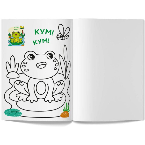 Фото - Раскраски Crystal Book цветная. Беседы (9786175476307)