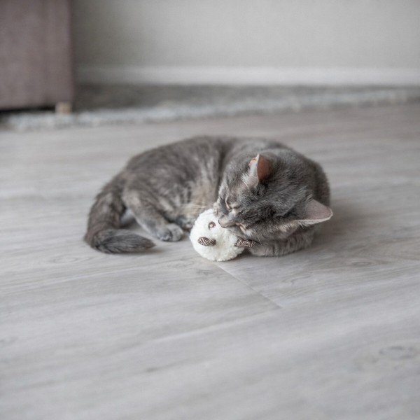 Фото - Мягкая игрушка для кошек Trixie Медведь с кошачьей мятой 8 см в ассортименте (4011905710396)