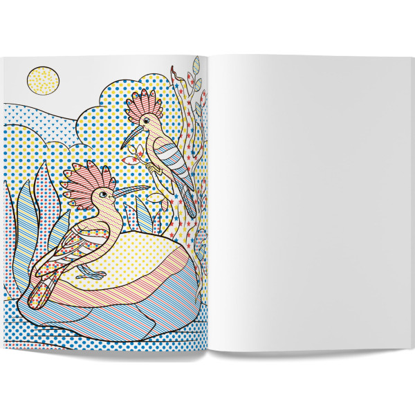 Фото - Раскраски Crystal Book волшебные водяные. Птицы (9789669874573)