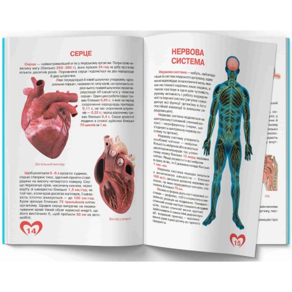 Фото -  Crystal Book Большая книга. Анатомия человека (9789669361974)