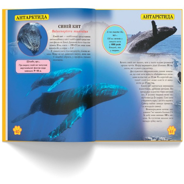Фото -  Crystal Book Мир вокруг нас. Дикие животные (9789669369420)