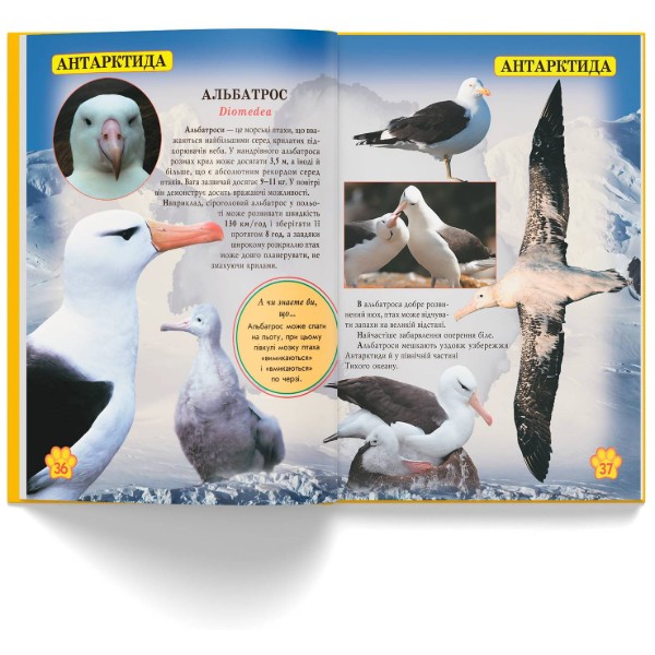 Фото -  Crystal Book Мир вокруг нас. Дикие животные (9789669369420)
