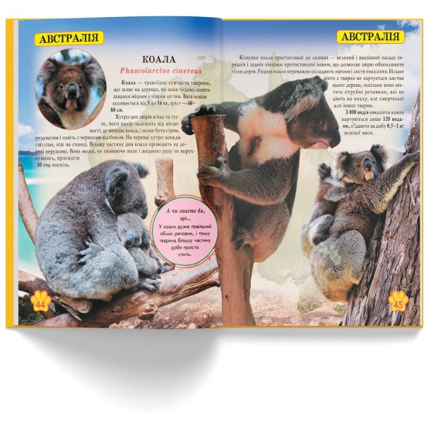 Фото -  Crystal Book Мир вокруг нас. Дикие животные (9789669369420)