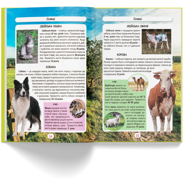 Фото -  Crystal Book Мир вокруг нас. Кто живет? (9786175470527)