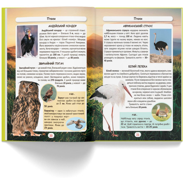 Фото -  Crystal Book Мир вокруг нас. Кто живет? (9786175470527)