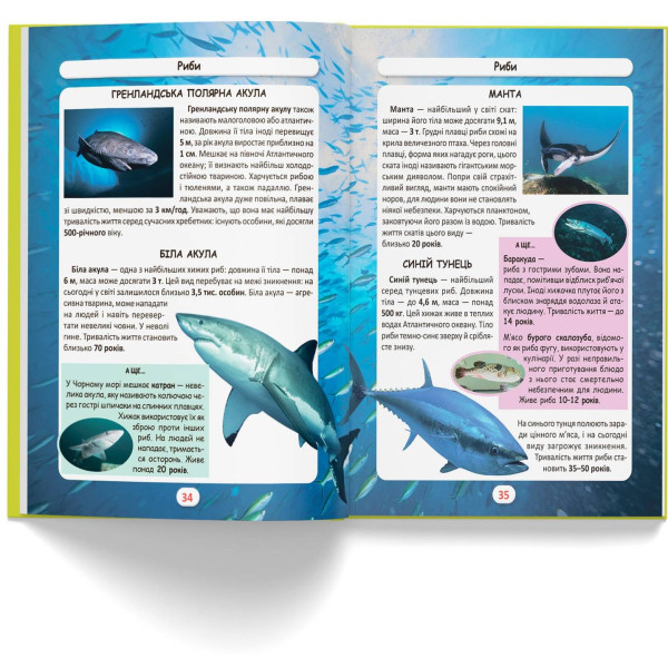 Фото -  Crystal Book Мир вокруг нас. Кто живет? (9786175470527)