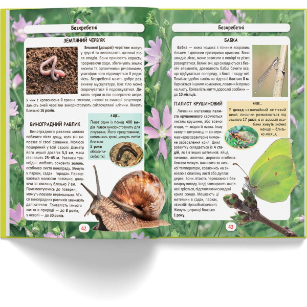 Фото -  Crystal Book Мир вокруг нас. Кто живет? (9786175470527)