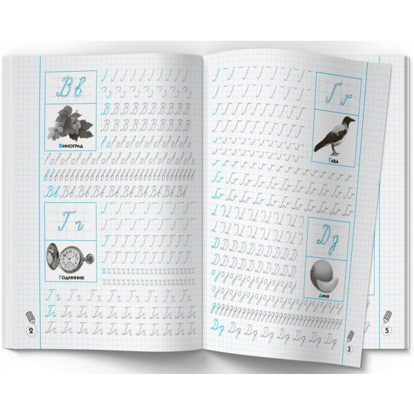 Фото -  Crystal Book Прописи-тренажер. Украинский язык. Пишем по клеточкам (9786175472446)