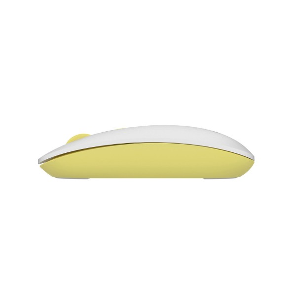 Фото - Мышь беспроводная A4tech FG20 Daisy USB