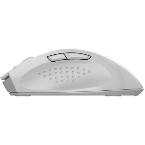 Фото - Мышь беспроводная A4tech FG55S Plus (White)
