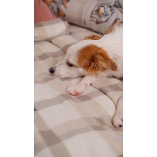 Фото - Плед односпальний Ardesto Fleece 130x160 см клітинка бежевий (ART0711PB)