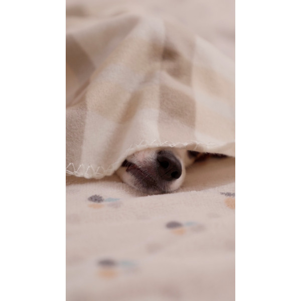 Фото - Плед односпальний Ardesto Fleece 130x160 см клітинка бежевий (ART0711PB)